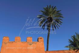 Image du Maroc Professionnelle de  Hormis les remparts de Marrakech qui sont construits entièrement en pisé selon une technique séculaire par l'Almoravide Ali Ben Youssef au début de XIIème siècle pour se protéger des attaques extérieures. La ville rouge dispose d’autres murailles qui protègent les parcs comme celle-ci qui clôturent les jardins de l'Agdal Ba Ahmed. Au fond la chaine de montagne du Haut Atlas enneigé surplombe la plaine du Haouz où de nombreux palmiers des jardins apportent à ce paysage un contraste très accentué, 3 Décembre 2012. (Photo / Abdeljalil Bounhar) 